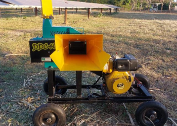 Desenvolve MT tem mais de R$ 2 milhões de crédito liberados para mulheres empreendedoras